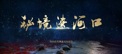寻找萌宠松鼠